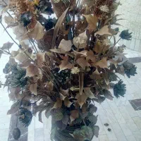 گل و گلدان|گل مصنوعی|شیراز, زرهی|دیوار