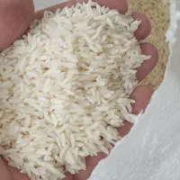 برنج هاشمی اعلادرجه یک گیلان رشت|خوردنی و آشامیدنی|رشت, استادسرا|دیوار