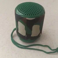 اسپیکر همراه