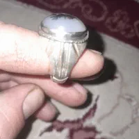 شجر|جواهرات|تربت‌حیدریه, باغ ملی|دیوار