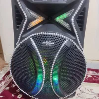 اسپیکر بزرگ.مکس‌.تاچ