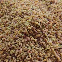 فروش کشمش انگور عسگری