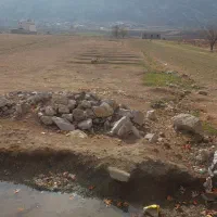 فروش-زمین-پاپی-خالدار-جلوی-جاده-اصلی