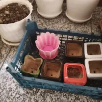 گلدان‌های سفالی و پلاستیکی