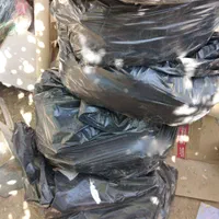 زل کبوتر|لوازم جانبی حیوانات|شاهین‌شهر, شهرک گلدیس|دیوار