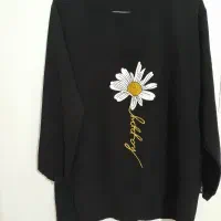 شومیزی