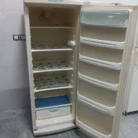 یخچال دو قلو پارس و گاز صفحه ای استیل البرز|یخچال و فریزر|اسدآباد, |دیوار