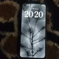 nothing phon 1 در حد|موبایل|تهران, بریانک|دیوار