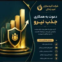 دعوت به کار،اعطای نمایندگی بیمه