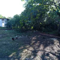 زمین سنددار رضوانشهر|فروش زمین و ملک کلنگی|رشت, چله خانه|دیوار