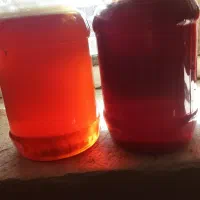 سایه خشک و شیره به شرط تست|خوردنی و آشامیدنی|زند, |دیوار