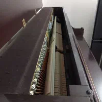 پیانو آگوست هافمن|پیانو، کیبورد، آکاردئون|اصفهان, قلعه طبره|دیوار