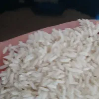 فروش برنج هاشمی