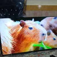 ال ای دی 43 اینچ ایکس ویژن هوشمند