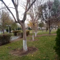 انجام کلیه امور فضای سبز