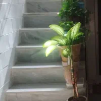 اجاره-منزل-مسکونی