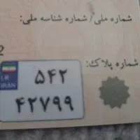 پلاک گمشده
