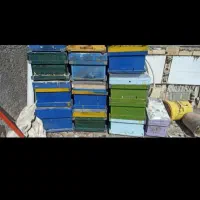 فروش فوری کندو