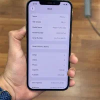 iPhone 12 Pro Max 256Gb|موبایل|کرج, جهان‌شهر|دیوار