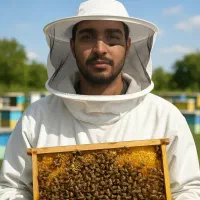 عسل های طبیعی کوه های لرستان|خوردنی و آشامیدنی|قم, پردیسان|دیوار