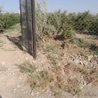 باغ انار سر سبز و پر محصول|فروش خانه و ویلا|تهران, امیریه|دیوار