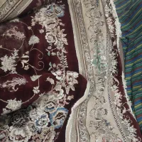 قالی ۱۲ متری|فرش|اهواز, زیتون کارگری|دیوار