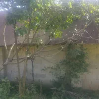 زمین 242 متری  متصل به جاده اصلی|فروش زمین و ملک کلنگی|احمدسرگوراب, |دیوار