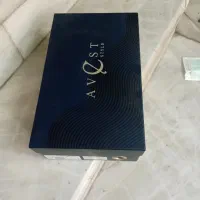 کفش چرم