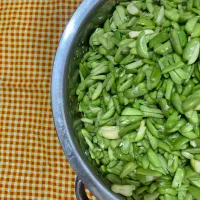 پوست باقالی