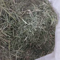 یونجه و علوفه غذای خرگوش و خوکچه|لوازم جانبی حیوانات|شیراز, کوشک میدان|دیوار