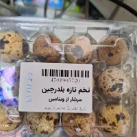راننده