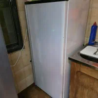 فریزر سالم brandt فرانسوی