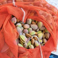 بادام|حراج|اردبیل, |دیوار