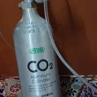 کپسول co2|ماهی|قم, مسجد امام حسن|دیوار