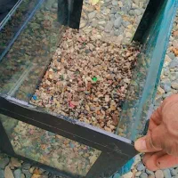 اکواریوم|ماهی|آق قلا, |دیوار