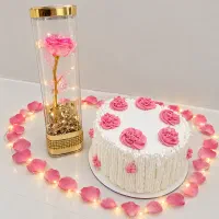 سفارش کیک خانگی تولد جشن عروسی مدارس کافی شاپ