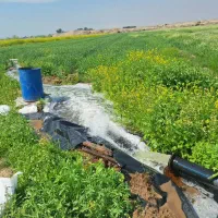 اجاره زمین کشاورزی