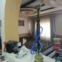 قلیون چوب سرخ اصل