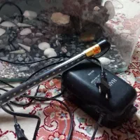 آکواریوم|ماهی|بندرعباس, |دیوار