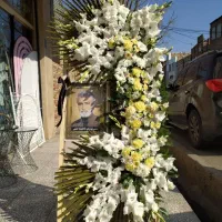 گل ارایی بله برون وعقد ماشین عروس|خدمات پذیرایی، مراسم|قم, باغ شریفی|دیوار