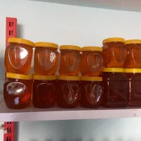 عسل کرمانشاه به شرط کیفیت|خوردنی و آشامیدنی|قم, نوقطار|دیوار