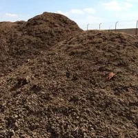 کود گاو کودگوسفند