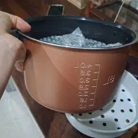 پلوپزو آرام پز۲۴کاره ۵لیتری|اجاق گاز و لوازم برقی پختوپز|ساری, |دیوار