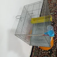 قفس سهره