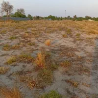 زمین اصناف صفی اباد دارم برای مشارکت در ساخت