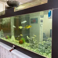 فروش اکواریوم