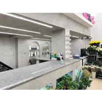 اجرای میکروسمنت تخصصی ،پتینه و رنگ آمیزی|خدمات پیشه و مهارت|شیراز, ملاصدرا|دیوار