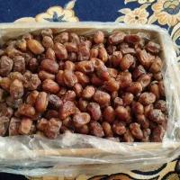 خرما هلیله|حراج|زاهدان, |دیوار