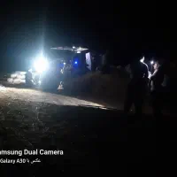 کاه گندم