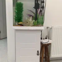 آکواریوم زیبا و جمع و جور نوی نو